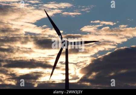 Éoliennes pour la production d'électricité dans un parc éolien à Ketzin, 19.01.16 Banque D'Images