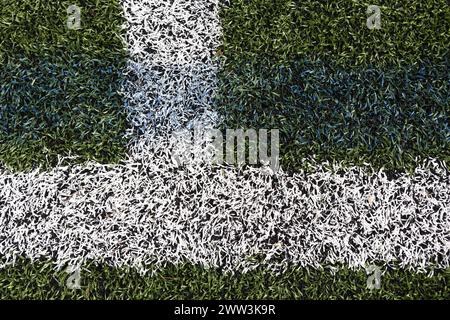 Marques de terrain en ligne blanche sur une surface 4G de terrain de football en gazon artificiel avec miette de caoutchouc en ligne bleu foncé Banque D'Images