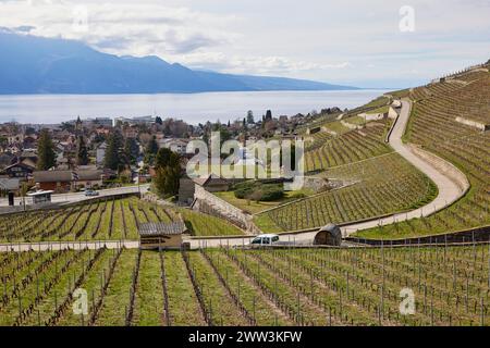 Routes et terrasses pour la viticulture dans les terrasses viticoles classées au patrimoine mondial de l'UNESCO de Lavaux avec vue sur le lac Léman et la ville de Banque D'Images