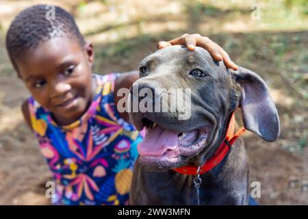 fille afro-américaine jouant avec son chien chiot, elle est assise sur le sol à l'extérieur, développant l'amitié Banque D'Images