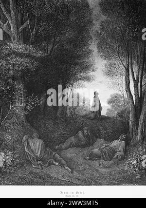 Jésus dans la prière, Matthieu Evengelium, chapitre 26, forêt, Pierre, deux fils, Zébédée, hommes, lumière, Nouveau Testament, Bible, illustration historique 1886 Banque D'Images
