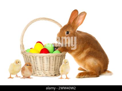 Joyeuses Pâques. Oeufs peints dans un panier en osier, poussins mignons et lapin isolés sur blanc Banque D'Images