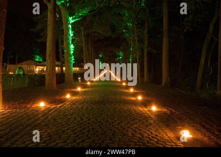 Un cadre nocturne magique où un chemin forestier est magnifiquement illuminé par la lueur chaude des bougies au sol et des lumières fantaisistes drapées parmi les arbres. Cette scène tranquille invite les spectateurs dans un monde d'émerveillement et de sérénité. Sentier forestier enchanté illuminé par des chandelles et des lumières de fées. Photo de haute qualité Banque D'Images