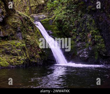 Une belle cascade en cascade sur une falaise à une piscine sombre entourée de buissons verts vibrants et de mousse. Banque D'Images