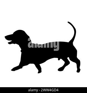 Silhouette de chien Teckel sur fond blanc Illustration de Vecteur