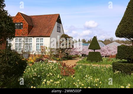 Jonquilles, Old Laboratory, RHS Garden Wisley, Woking, Surrey, Angleterre, Grande-Bretagne, Royaume-Uni, Royaume-Uni, Europe Banque D'Images