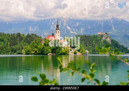 Vue sur le lac magique de Bled en Slovénie. Église de la mère de Dieu sur une petite île dans le lac. Banque D'Images