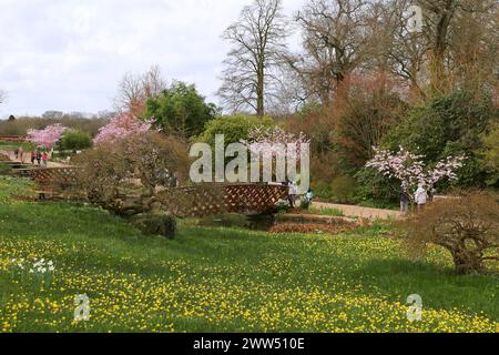 Alpine Meadow, RHS Garden Wisley, Woking, Surrey, Angleterre, grande-Bretagne, Royaume-Uni, Royaume-Uni, Europe Banque D'Images