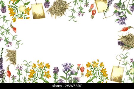 Illustration aquarelle. Cadre rectangulaire fait de thé, herbes de prairie et fleurs, origan, rose musquée, feuilles de thé, sachet de thé, toutes peintes à la main Banque D'Images