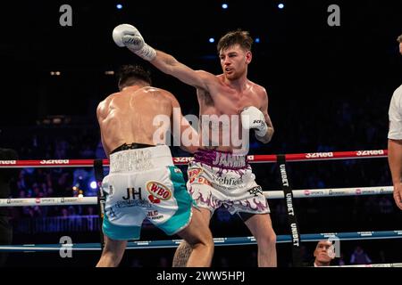 Owen Cooper remporte le titre WBO European Welterweight Banque D'Images