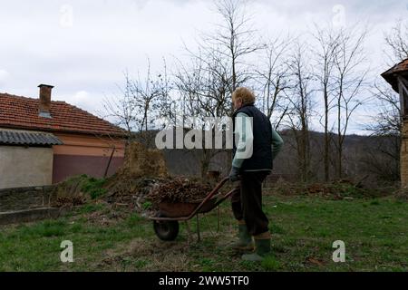 Une agricultrice poussant une vieille brouette en métal rouge pleine de feuilles sèches et de mauvaises herbes vers la zone de déchets, nettoyant sa cour arrière Banque D'Images