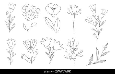 Ensemble de différentes fleurs et branches, illustration vectorielle plate de style doodle pour livre de coloriage pour enfants Illustration de Vecteur