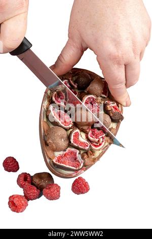 Oeuf de Pâques en chocolat farci à la truffe brésilienne blanche et à la confiture de framboises, garni de franui 11. Banque D'Images