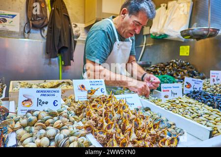 Les tas de différentes palourdes et escargots de mer sur le comptoir de fruits de mer étal dans le marché Atarazanas, Malaga, Espagne Banque D'Images