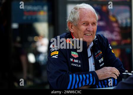 Melbourne, Victoria, Australie ; 22 mars 2024 : circuit du Grand Prix de Melbourne, Grand Prix de formule 1 d'Australie : Journée d'entraînement ; Helmut Marko, conseiller Red Bull, en formule 1 d'Australie Banque D'Images