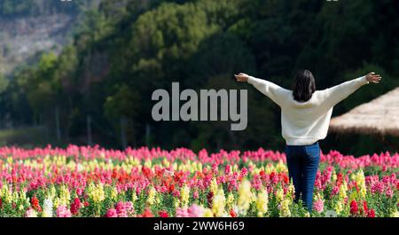 Touristes asiatiques prenant des photos dans un jardin de fleurs dans la partie nord de la Thaïlande. Beau jardin de fleurs à Doi Ang Khang, Chiang mai, Thaïlande. Banque D'Images