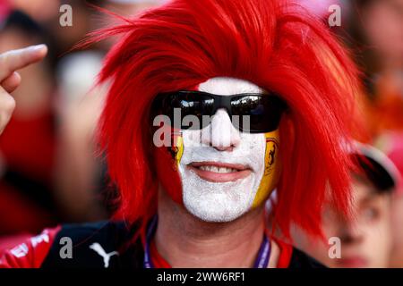 Melbourne, Australie. 22 mars 2024. Fan de Ferrari lors du Rolex Australian Grand Prix de formule 1 2024, 3ème manche du Championnat du monde de formule 1 2024 du 22 au 24 mars 2024 sur le circuit Albert Park, à Melbourne, Australie - photo DPPI Credit : DPPI Media/Alamy Live News Banque D'Images