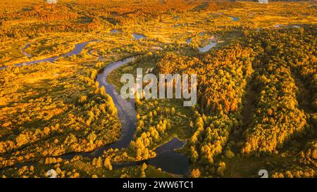 Vue aérienne Green Forest Woods et River Landscape dans Sunny Spring Evening. Vue de dessus de la belle nature européenne de haute attitude en été Banque D'Images