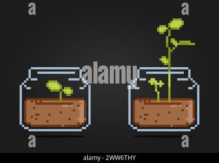 bourgeons d'arbre de pixel de 8 bits dans un bocal en verre. Pour les ressources de jeu et les motifs de points de croix dans les illustrations vectorielles. Illustration de Vecteur