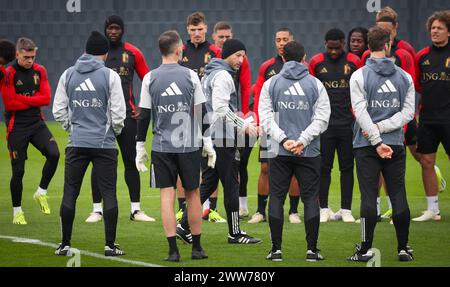 Tubize, Belgique. 22 mars 2024. L'entraîneur-chef de la Belgique Domenico Tedesco s'entretient avec ses joueurs lors d'une séance d'entraînement de l'équipe nationale belge de football Red Devils, au centre d'entraînement de la Royal Belgian Football Association à Tubize, vendredi 22 mars 2024. Samedi, les Red Devils disputent un match amical contre l’Irlande, dans le cadre des préparatifs de l’Euro 2024. BELGA PHOTO VIRGINIE LEFOUR crédit : Belga News Agency/Alamy Live News Banque D'Images