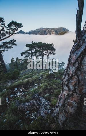 Wanderung auf den Großen Sonnstein im Gemeindegebiet von Ebensee am Traunsee am Westufer des Traunsees mit Blick auf Wolkendecke über dem Traunsee, das Tote Gebirge und Höllengebirge am 09.10.2021. // randonnée vers le Großer Sonnstein dans la municipalité d'Ebensee am Traunsee sur la rive ouest du lac Traunsee avec vue sur la couverture nuageuse du lac Traunsee, les Totes Gebirge et Höllengebirge le 9 octobre 2021. - 20211009 PD19108 Banque D'Images