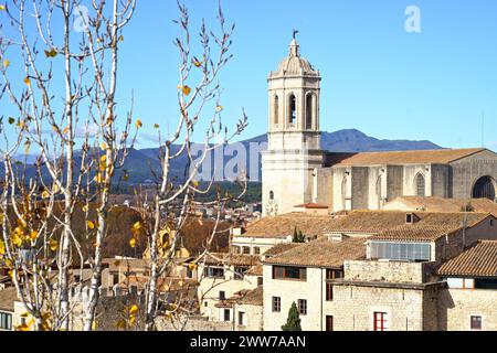 Espagne. Catalogne. Vue sur la ville de Gérone. Catedral de Santa Mar a de Girona. Banque D'Images