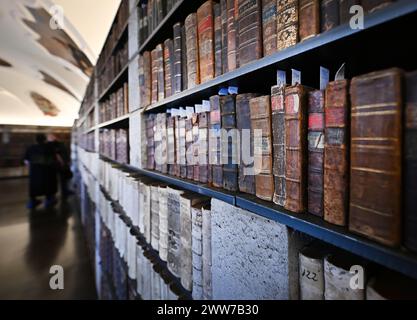 Zeliv, République tchèque. 19 mars 2024. La bibliothèque du monastère prémonstraten de Zeliv, après reconstruction, sera ouverte au public à partir du 23 mars. Bibliothèque photographiée à Zeliv, République tchèque, 19 mars 2024. Crédit : Lubos Pavlicek/CTK photo/Alamy Live News Banque D'Images