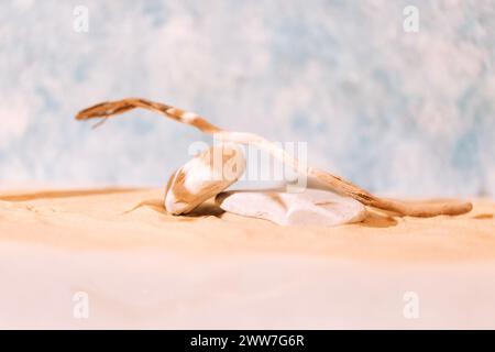 Une scène pour les produits cosmétiques de beauté avec des pierres texturées et une branche d'arbre. Un podium vide pour emballage performant avec du sable et de la lumière du soleil. Résumé m Banque D'Images