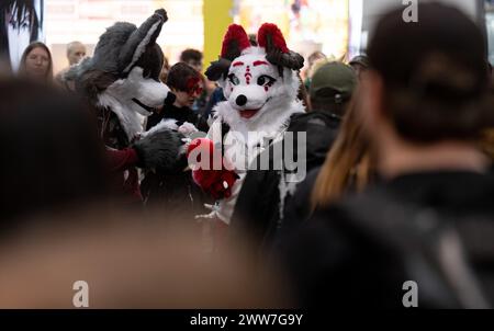 Leipzig, Allemagne. 22 mars 2024. Les cosplayers des monts Ore marchent autour de la Foire du livre de Leipzig dans leurs costumes. Plus de 2000 exposants de 40 pays présentent leurs nouveaux produits à la réunion de printemps de l'industrie du livre. Les fans de la scène cosplay et manga, qui se présente traditionnellement au salon du livre, sont fortement représentés. Crédit : Hendrik Schmidt/dpa/Alamy Live News Banque D'Images