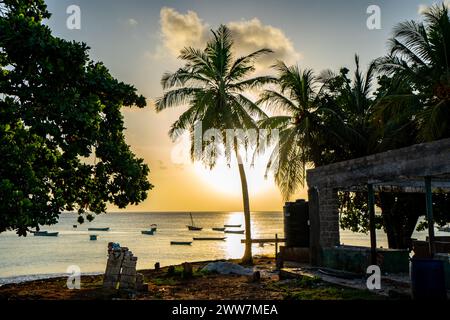 Bateaux de pêche au coucher du soleil photographiés à Zanzibar Banque D'Images