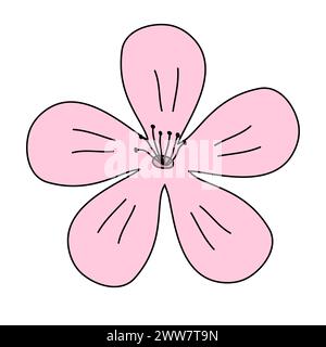 Fleur de cerise ou fleur rose sakura, vue de dessus, élément de conception de printemps, illustration vectorielle Illustration de Vecteur