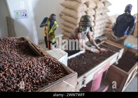 GHANA, Suhum, Yayra Glover Company, transformation du cacao biologique, tri et remplissage en sacs de jute / GHANA, Suhum, Yayra Glover, Bio-Kakao Verarbeitung, Sortierung, Reinigung und Abfüllung in jute Säcke Banque D'Images