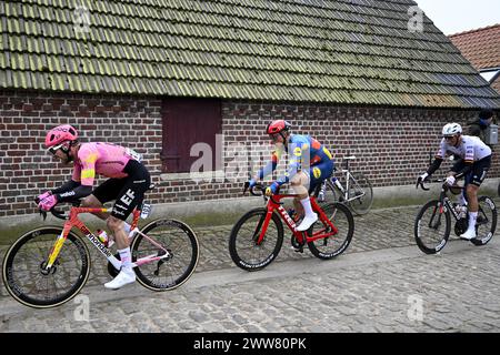 Harelbeke, Belgique. 22 mars 2024. Le britannique Owain Doull d'EF Education-EasyPost, le letton Toms Skujins de Lidl-Trek et l'allemand Nils Politt de l'équipe des Émirats arabes Unis photographiés en action lors de la course cycliste d'une journée 'E3 Saxo Bank Classic', à 207 km de Harelbeke, vendredi 22 mars 2024. BELGA PHOTO JASPER JACOBS crédit : Belga News Agency/Alamy Live News Banque D'Images