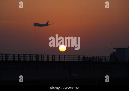 Silhouette d'un avion de passagers atterrissant sur le fond du soleil couchant Banque D'Images