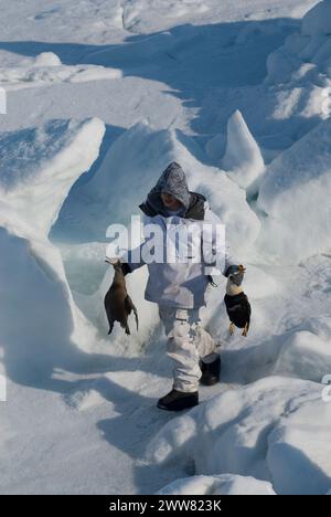 Inupiaq Man se tient debout avec son eider roi de subsistance Somateria spectabilis canards attraper sur la banquise pendant la migration printanière de la mer de Chukchi Banque D'Images