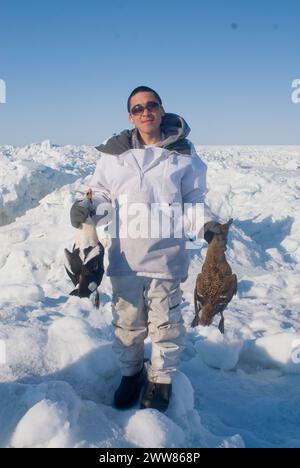 Inupiaq Man se tient debout avec son eider roi de subsistance Somateria spectabilis canards attraper sur la banquise pendant la migration printanière de la mer de Chukchi Banque D'Images