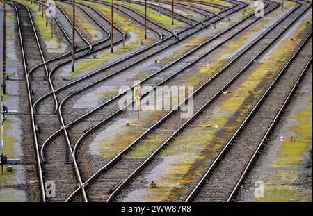Gleisanlagen, Rangiergleise, Abstellgleise, Abzweige, dem Rangierbahnhof Mülheim-Styrum, an der Bahnstrecke zwischen Mülheim an der Ruhr, und Duisburg, Eisenbahntrasse, für Nah- und Fernverkehr, Güterverkehr, NRW, Deutschland, Bahnanlage *** voies ferrées, voies de manœuvre, voies d'évitement, embranchements, la gare de manœuvre de Mülheim Styrum, sur la ligne de chemin de fer entre Mülheim an der Ruhr, et Duisburg, ligne de chemin de fer, pour le trafic local et longue distance, le trafic de marchandises, NRW, Allemagne, système ferroviaire Banque D'Images