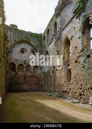 Great Tower, Château de Chepstow, pays de Galles, Royaume-Uni Banque D'Images