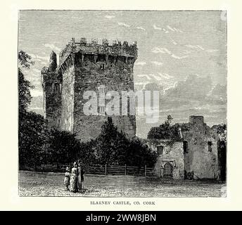 Le château de Blarney (irlandais : Caisleán na Blarnan) est un bastion médiéval situé à Blarney, près de Cork, en Irlande. années 1890 Banque D'Images