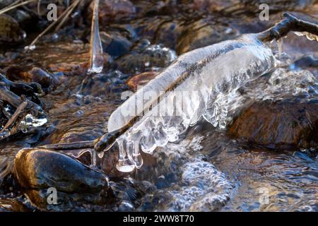 Petite branche en bois encapsulée dans de la glace dans un courant d'eau de source qui coule Banque D'Images