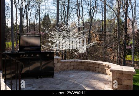 Vue sur le jardin arrière avec un barbecue à gaz noir au printemps. Concept de cuisson en extérieur. Banque D'Images