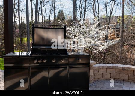 Vue sur le jardin arrière avec un barbecue à gaz noir au printemps. Concept de cuisson en extérieur. Banque D'Images