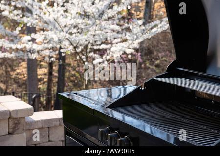 Vue sur le jardin arrière avec un barbecue à gaz noir au printemps. Concept de cuisson en extérieur. Banque D'Images