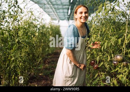 Gros plan d'une jeune agricultrice attrayante vérifiant les fruits mûrs des tomates noires. Une charmante femme souriante en vêtements décontractés travaille sur un agricul Banque D'Images