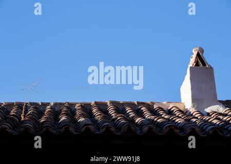 Plante sur le toit à côté de la cheminée à San Carlos del valle Banque D'Images