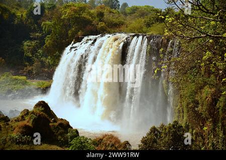 Les chutes du Nil Bleu sont des cascades situées en Ethiopie. Connus sous le nom de Tis Issat ou Tissisat en amharique, ils sont situés dans la première partie de la rivière, ab Banque D'Images