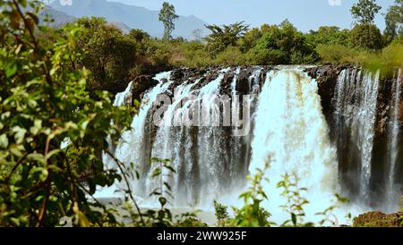 Les chutes du Nil Bleu sont des cascades situées en Ethiopie. Connus sous le nom de Tis Issat ou Tissisat en amharique, ils sont situés dans la première partie de la rivière, ab Banque D'Images