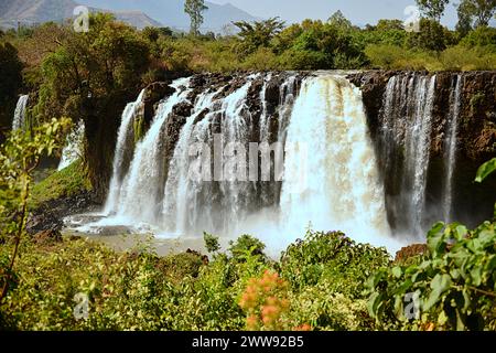 Les chutes du Nil Bleu sont des cascades situées en Ethiopie. Connus sous le nom de Tis Issat ou Tissisat en amharique, ils sont situés dans la première partie de la rivière, ab Banque D'Images