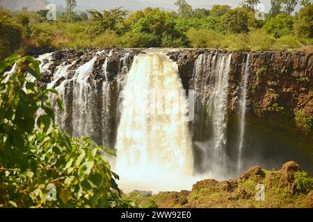 Les chutes du Nil Bleu sont des cascades situées en Ethiopie. Connus sous le nom de Tis Issat ou Tissisat en amharique, ils sont situés dans la première partie de la rivière, ab Banque D'Images