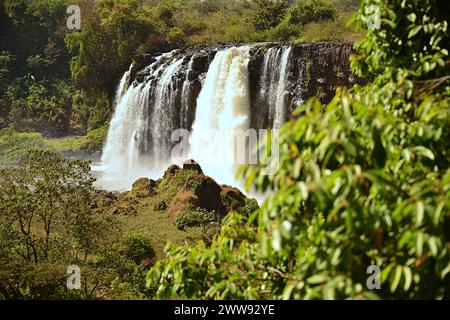 Les chutes du Nil Bleu sont des cascades situées en Ethiopie. Connus sous le nom de Tis Issat ou Tissisat en amharique, ils sont situés dans la première partie de la rivière, ab Banque D'Images